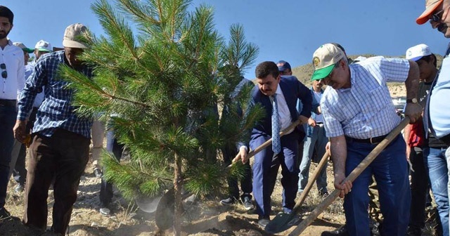 249 Demokrasi Şehidi anısına 249 adet fidan toprakla buluştu