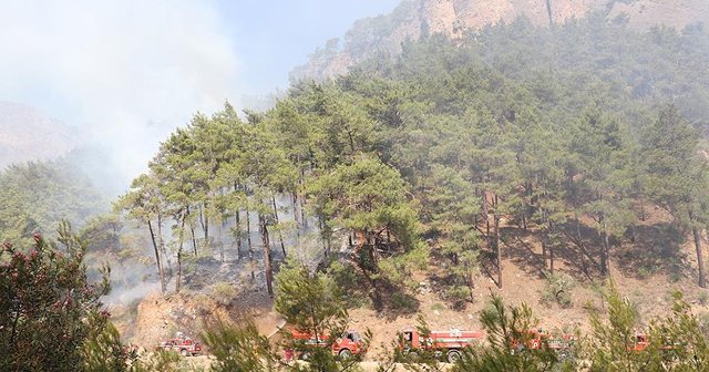Antalya&#039;da alev alan otobüsteki yangın ormana sıçradı