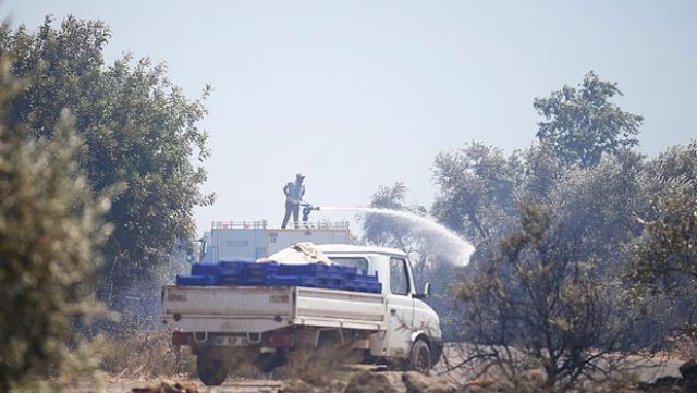 Antalya'da yangın