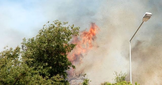 Antalya&#039;da yangın paniği