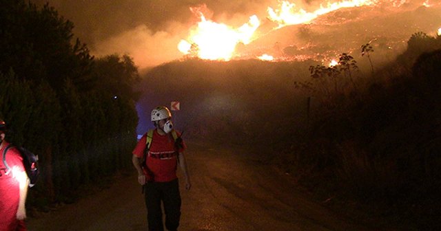 Bodrum&#039;da sit alanda yangın