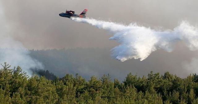 Çanakkale&#039;deki orman yangınını kontrol altına alma çalışmaları sürüyor