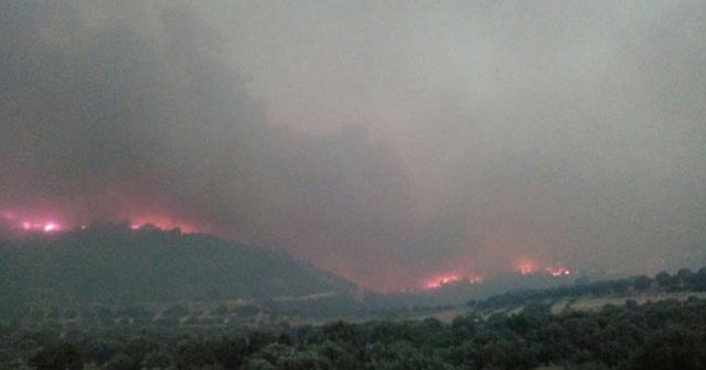 Denizli&#039;de orman yangını!