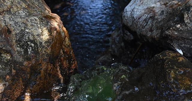 Deprem sonrası şaşırtan görüntü