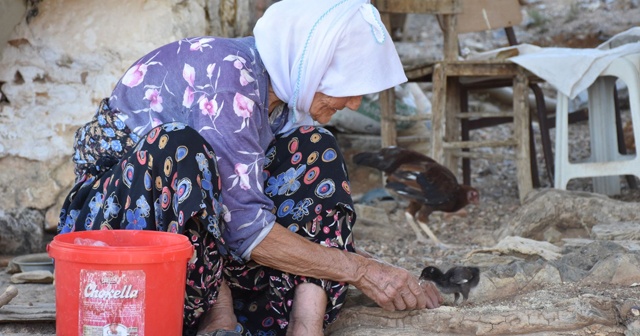 Depremde yıkılan evine değil ölen civcivlerine ağladı