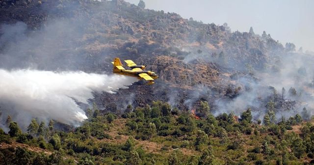 Dikkat! Meteoroloji&#039;den &#039;orman yangını&#039; uyarısı