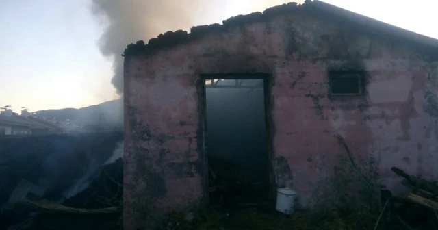 Elazığ’da bir ev, odunluk, samanlık ve 3 kiler kül oldu