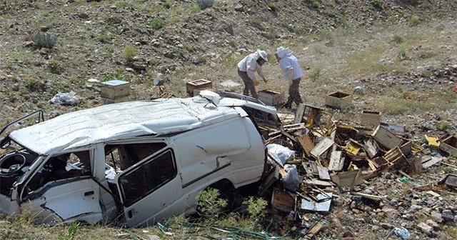 Erzurum&#039;da kaza yapan araçtaki arılar korku saçtı