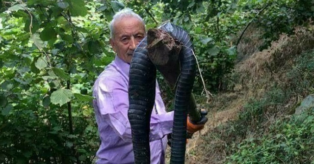 Giresun&#039;da dev yılan öldürüldü