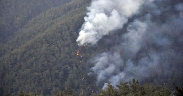 Hatay’da orman yangını sürüyor