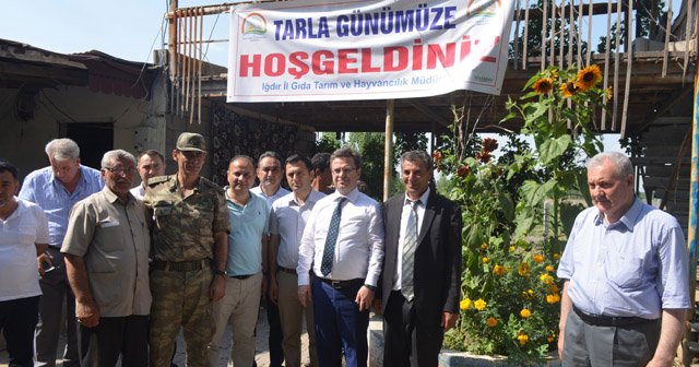 Iğdır’da örtü altı karpuz hasadı başladı