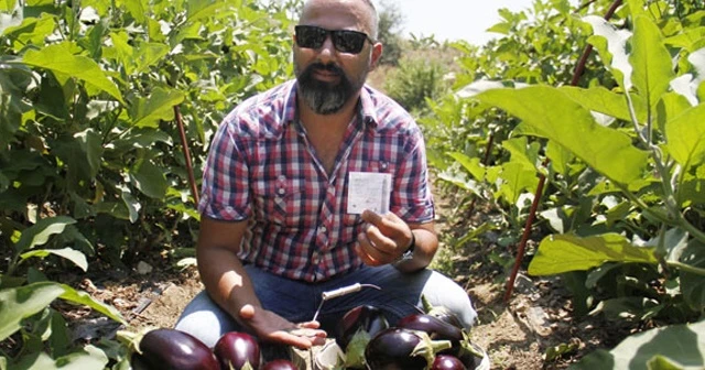 İzinsiz aldığı patlıcanlar için para bırakıp notla helallik istedi