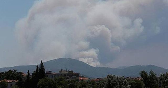 İzmir&#039;de ikinci orman yangını