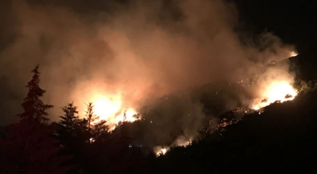 Karşıyaka'da korkutan orman yangını