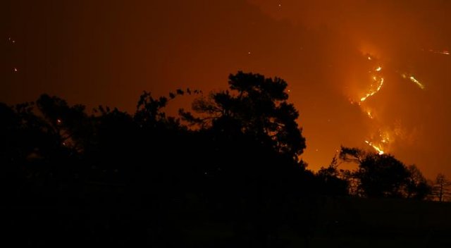 Kaş&#039;taki orman yangını kontrol altına alındı