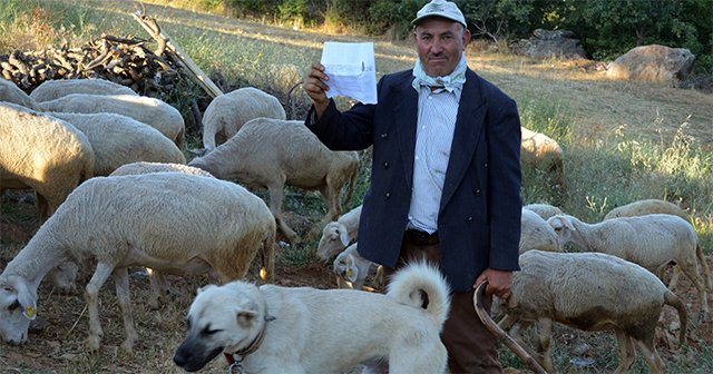 Manisalı çobana geçmediği köprüden ceza