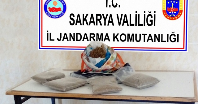 Sakarya’da 2 kilo bonzai ele geçirildi