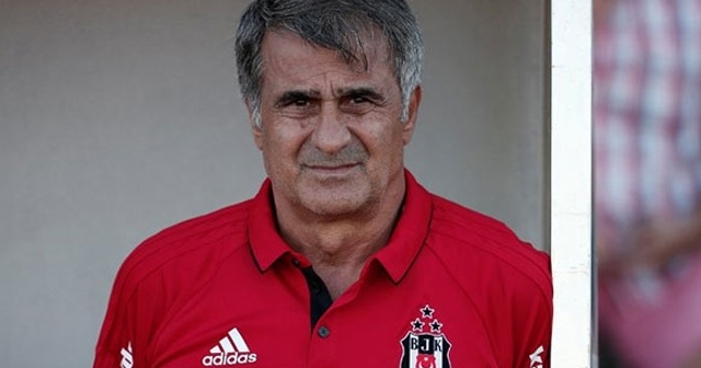 Şenol Güneş, Milli Takım kararını verdi