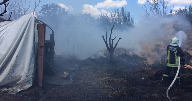 Tekirdağ'da ahır yangını: 9 büyükbaş hayvan telef oldu