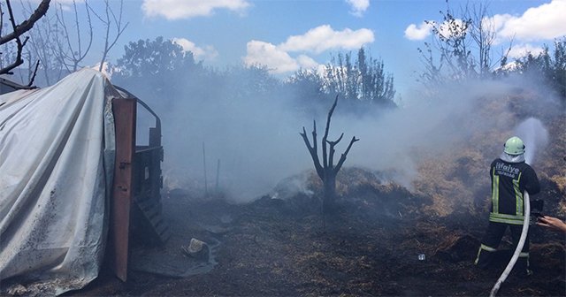 Tekirdağ&#039;da ahır yangını: 9 büyükbaş hayvan telef oldu