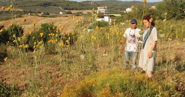 Tüllüşah projesi ile yeni bir turizm merkezi oluşacak