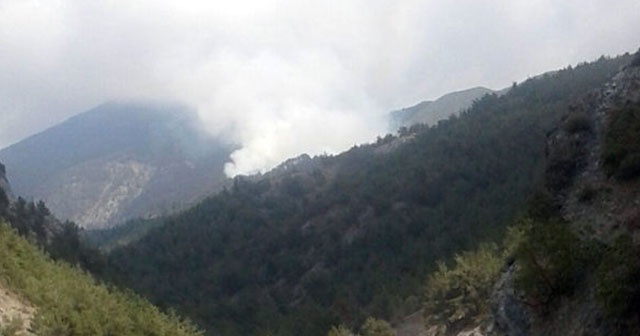 Amanoslar&#039;da teröristler 7 hektar makilik alanı yaktı
