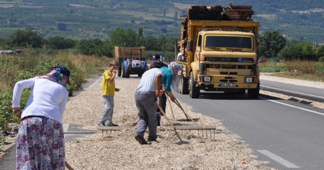 Ayçekirdeğini kurutmak için çevre yolunu kapattılar