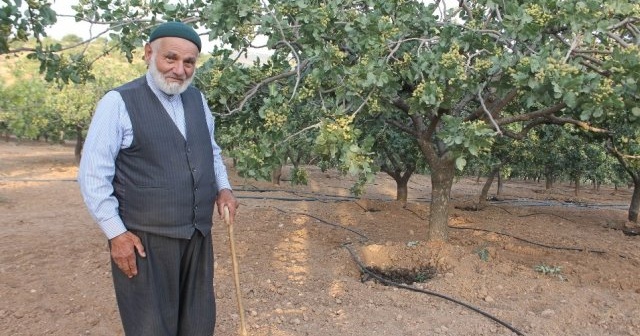 Babasının bir sözünü dinledi, hayatı değişti