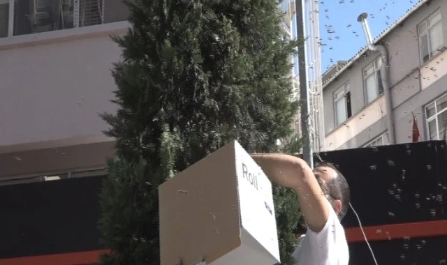 Balıkesir’de şehri arılar bastı