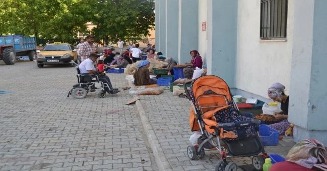 Bütün mahalle bu işi yapıyor