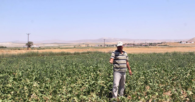 Çiftçileri sokağa çağıran TZOB Başkanı’na çiftçilerden tokat gibi cevap geldi