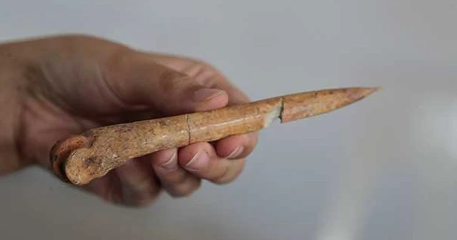 Deri ustalarının 7 bin 500 yıllık kemikten tasarım aleti bulundu