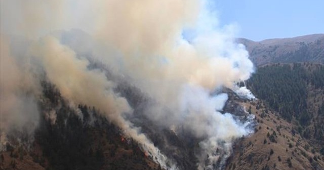 Erzurum’da büyük orman yangını: 20 hektar alan kül oldu