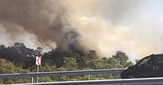 Fethiye&#039;de orman yangını çıktı