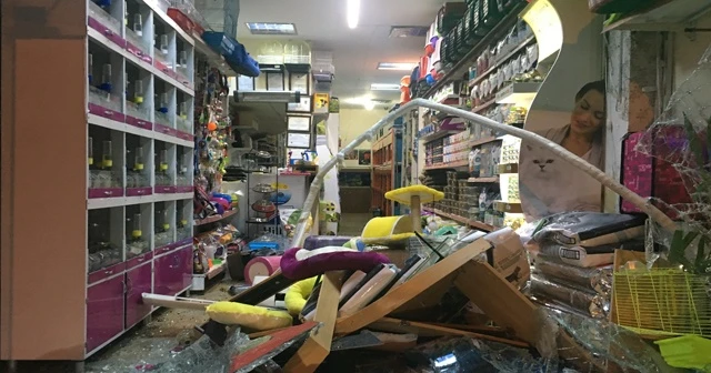 Freni boşalan servis minibüsü evcil hayvan dükkanına dükkana girdi