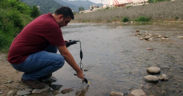 Giresun’da toplu balık ölümleri