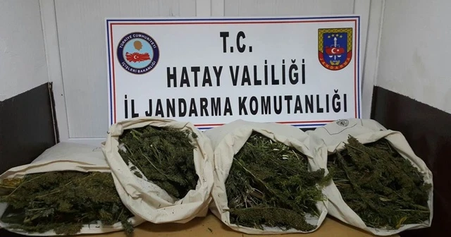 Hatay'da uyuşturucu operasyonu