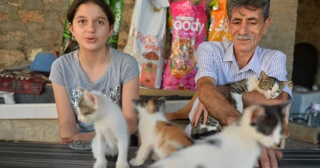 Herkes onu konuşuyor, sokak kedilerinin de muhtarı oldu