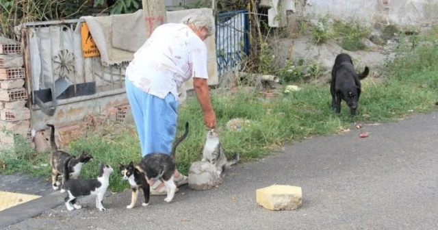 Hurdacı kadının örnek olacak hayvan sevgisi