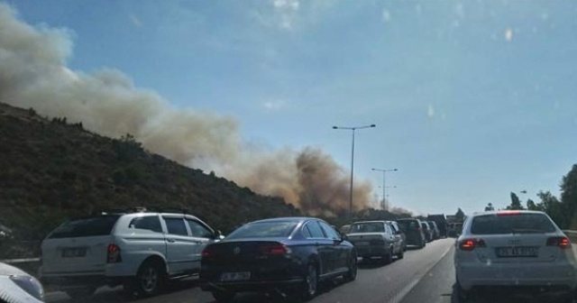 İzmir&#039;de otoyol kenarında yangın