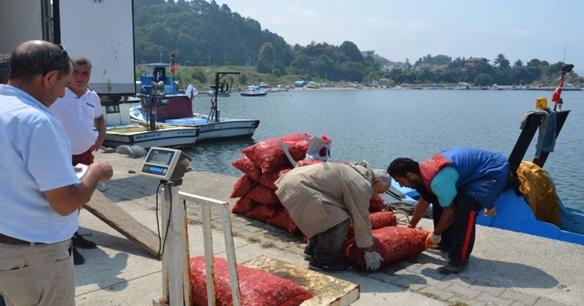 Karadeniz dibinden toplayıp Uzakdoğu'ya satıyorlar
