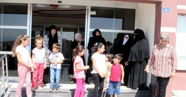 Kayseri’de et yiyen örümcek paniği
