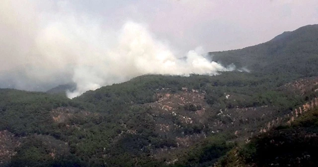 Kaz Dağları'nda sabotaj şüphesi