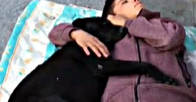 Köpeğe sarılarak uyuyan çocuk yürekleri burktu