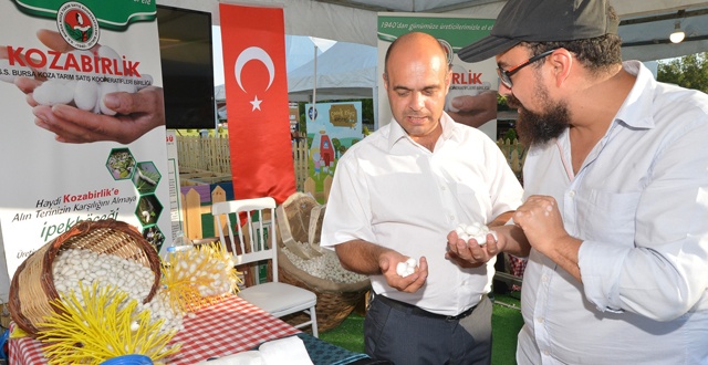 Köy hayatı, Büyük Ankara Festivali&#039;nde