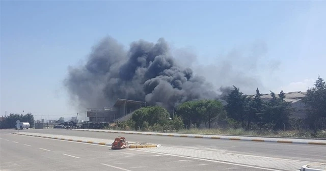 Ortalık bir anda karıştı, 300 araç kül oldu
