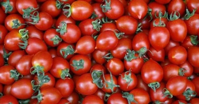 Rusya'dan flaş Türkiye açıklaması