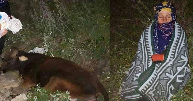 Sabaha kadar ineğinin başında böyle bekledi