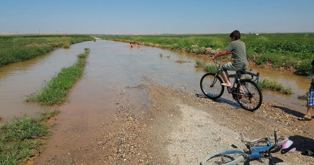 Şanlıurfa’da çocuklar asfaltta yüzüyor