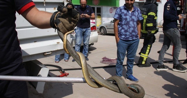 Seyir halindeki araca yılan girdi